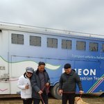 [강아지] 골든 랩 <b>입양</b>후기