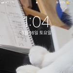 [댓글부탁해] 내 <b>배사</b> 진짜 귀엽징