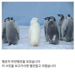 [드루와] 근데 애들 진짜 <b>존예</b>나 엄청이쁜애들한테는