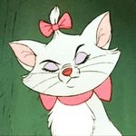 지금이 내 <b>인생</b><b>노</b><b>잼</b>시기 인듯