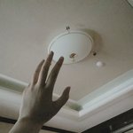 [드루와] 이 <b>사진</b> <b>손</b> 좀 멋있게 나오지 않았냐
