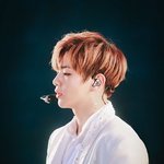 [워너원] 오늘도 <b>존버</b>!!!!!