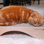 [댓글부탁해] 선생님이 좋아 ㅜ.조언좀ㅜㅜ