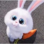 옷 보세입는애 어때ㅜ