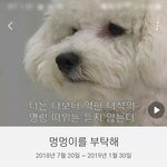 [EXO] 앜ㅋㅋㅋ걘역시폰에 갤러리