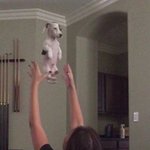 근데 승리<b>사건</b>도 <b>손톱</b>일뿐이라는데