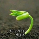 [조언부탁해] 나 <b>봉사</b>동아리 지원서어떻게써??