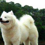[댓글부탁해] 나어렸을때이상한기억있는데 뭐냐ㅋㅋ
