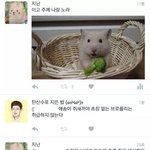 반팔티 예쁜브랜드 추천좀