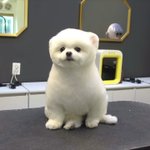 [댓글부탁해] <b>속</b><b>쌍</b>인데 쌍수할까...