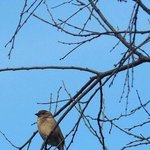 너네 <b>인쇼</b>