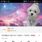[드루와] 너희 진심 우울할때 이거 봐바ㅠ