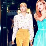 [드루와] 이소라 다이어트 하루에 몇번씩 해야돼ㅠㅠ??