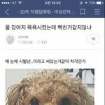 [드루와] <b>두유</b> 다이어트 어떨 것 같어