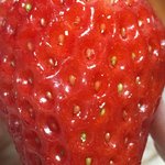 <b>피지</b> 짜줄 사람