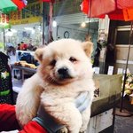 [조언부탁해] 얘들아 내일 오디션 조언 좀 ㅜㅜㅜ
