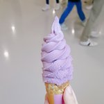 [ㅠㅠㅠㅠㅠ] ㅠㅠㅠ야 <b>포도</b>맛 소프트 아이스크림 파는곳 없어??...