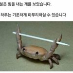 <b>짝</b>남이 나랑둘<b>이</b> 술먹재