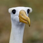 우리<b>집</b>강아지때문에 우리엄<b>빠</b> 못 꽁냥거리심ㅋㅋㅋㅋ쿠ㅜㅋ