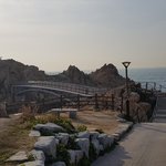 대왕암에 살고있는 길냥이들