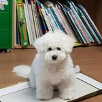 새학기친구들이 <b>어색</b>해...
