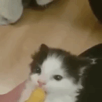 모유 <b>냠냠</b>