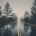 <b>비오</b>는 거리