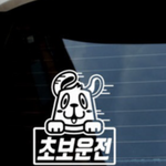 야 빨리 뭐가 더 나은지 추반<b>해조</b>