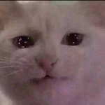 애들 왤케 하얌