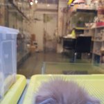 짝녀야 보고<b>시포</b>