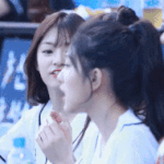 야잘알 백지헌