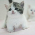 ㅁㅈ도 금<b>사빠</b>인데 걱정이야..