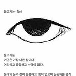 눈 <b>관상</b>짤 있는사람