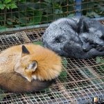 [댓글부탁해] 작년까지 나랑 잘지냈었는데