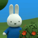 [댓글부탁해] 아이폰 <b>xs</b> 살 예정인데