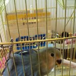 심쿵<b>유발</b> 주의!(심장약 준비하세용~*ㅎㅎ)