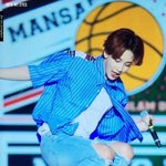 [세븐틴] 얘들아 이것 좀 봐ㅋㅋㅋ