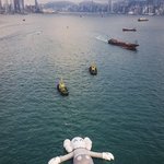 [방탄소년단] 홍콩 바다에 구4즈 좋아하는 <b>토이</b>