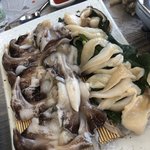 [음식사진] 나도 최근에 먹은사진 올릴래