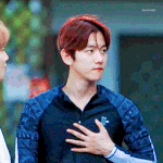[EXO] 모두 백현이의 손이 되어 보아요