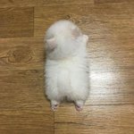 [댓글부탁해] 야ㅑㅑ <b>개</b>심각함 나 싸움 중간에 <b>낌</b>