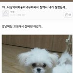나 짝남 접으려고