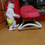 얘들아 너네 <b>머릿결</b> 관리 어떻게행