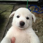 [댓글부탁해] 투<b>블럭</b>안어울리는데 계속 해야할까