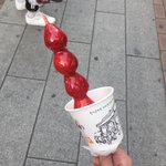 [드루와] 오늘 12도 옷 추반