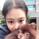 블랙핑크 제니랑 <b>쿠마</b> 너무 귀여워