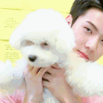 [EXO] <b>영혼</b>없는 비비