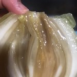 양파왜이래?
