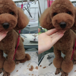 [기도해줘요] 오늘을 넘기기 힘들다고 하네요.