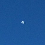 [추반] 아이폰<b>X</b> vs 아이폰XR